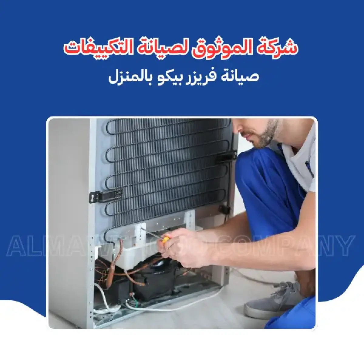 صورة من المعرض